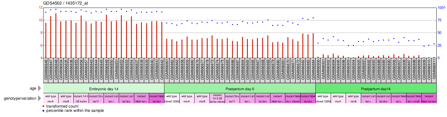 Gene Expression Profile