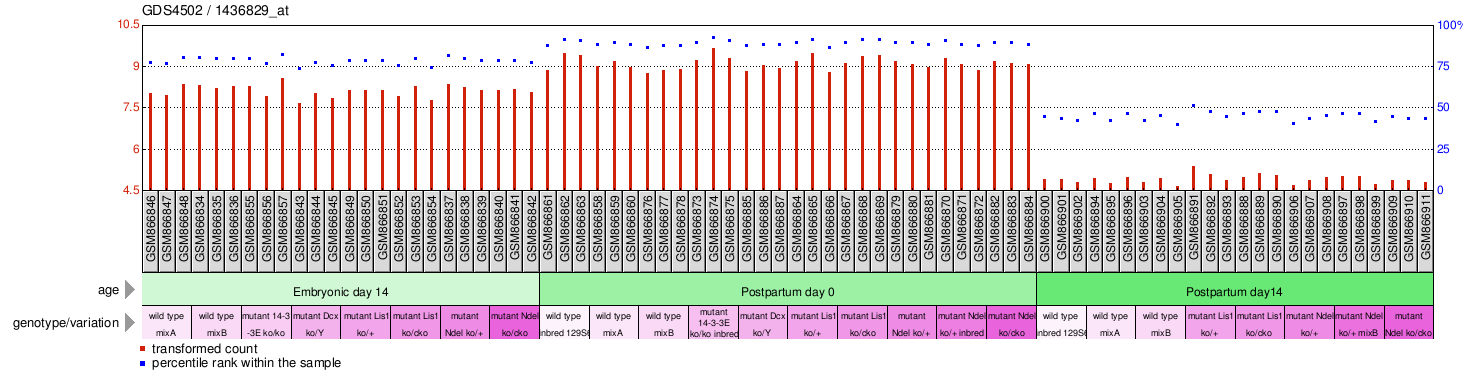 Gene Expression Profile