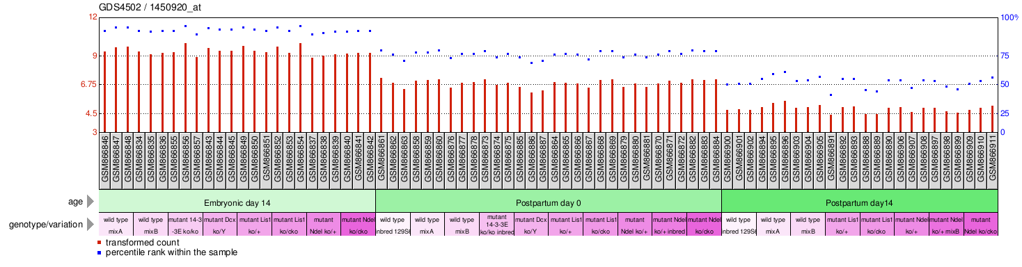 Gene Expression Profile