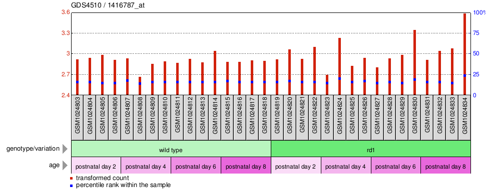 Gene Expression Profile