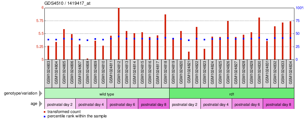 Gene Expression Profile