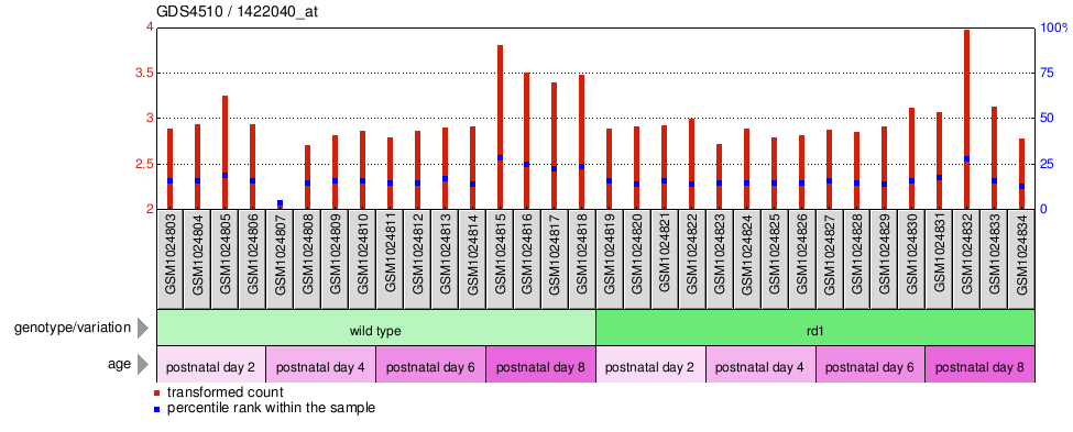 Gene Expression Profile