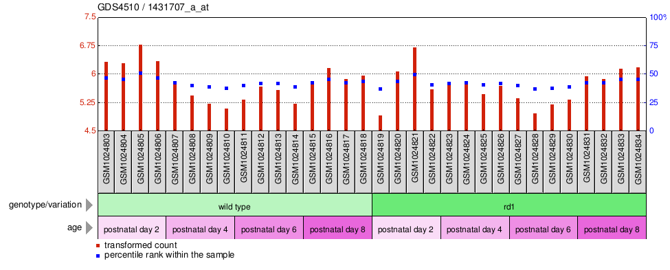 Gene Expression Profile