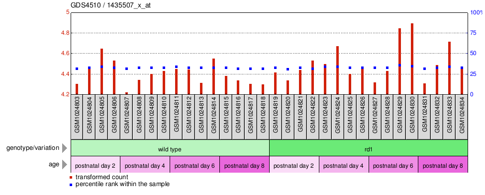 Gene Expression Profile