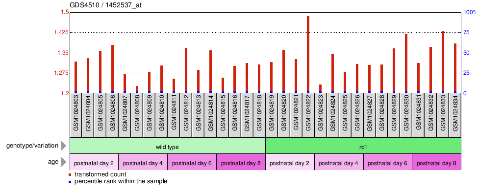 Gene Expression Profile