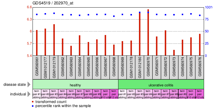 Gene Expression Profile