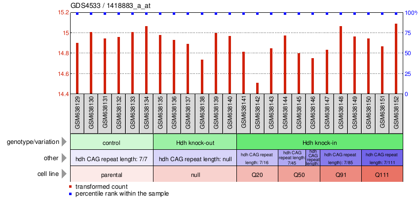 Gene Expression Profile