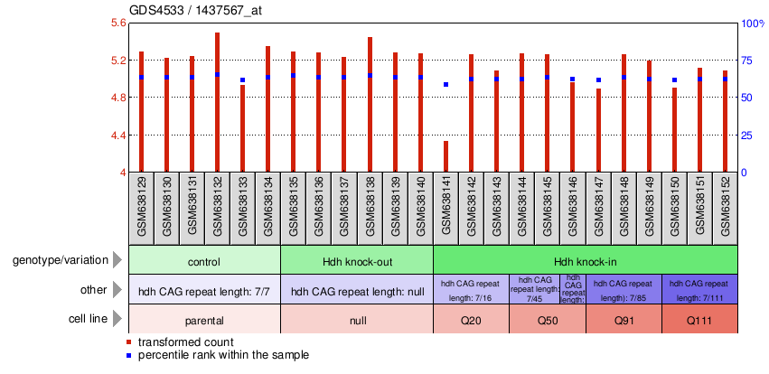 Gene Expression Profile