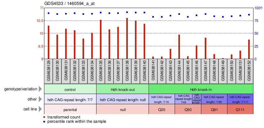 Gene Expression Profile