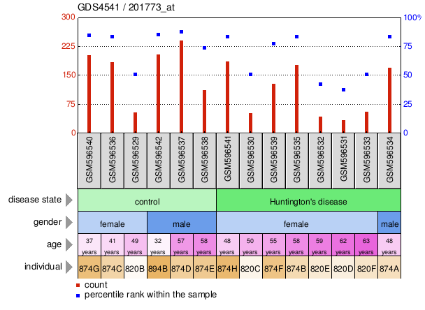 Gene Expression Profile