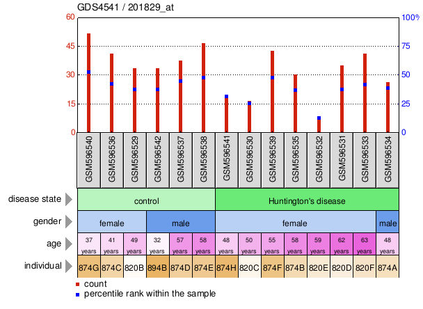 Gene Expression Profile