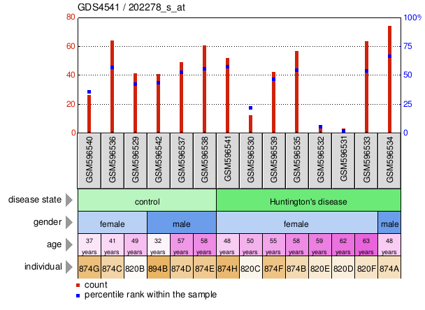 Gene Expression Profile