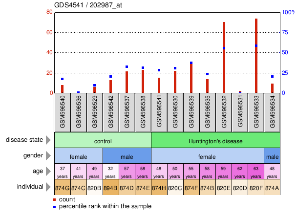 Gene Expression Profile