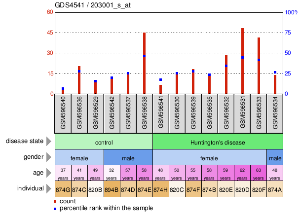 Gene Expression Profile