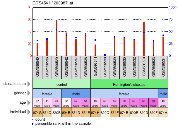 Gene Expression Profile