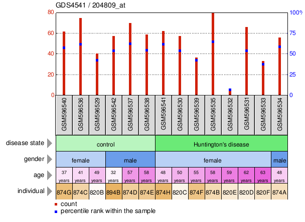 Gene Expression Profile