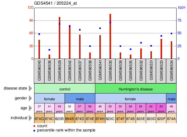 Gene Expression Profile