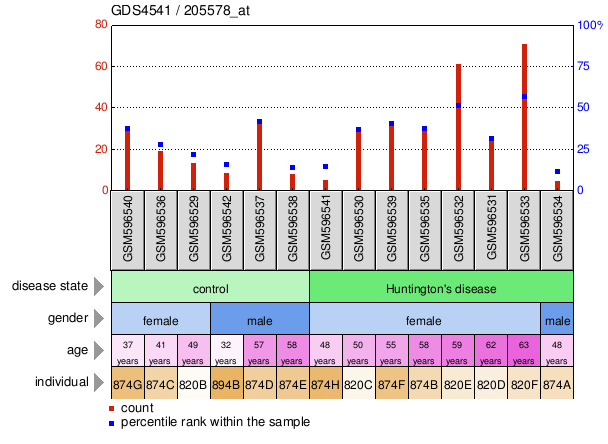 Gene Expression Profile