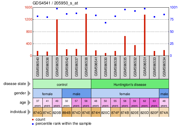 Gene Expression Profile