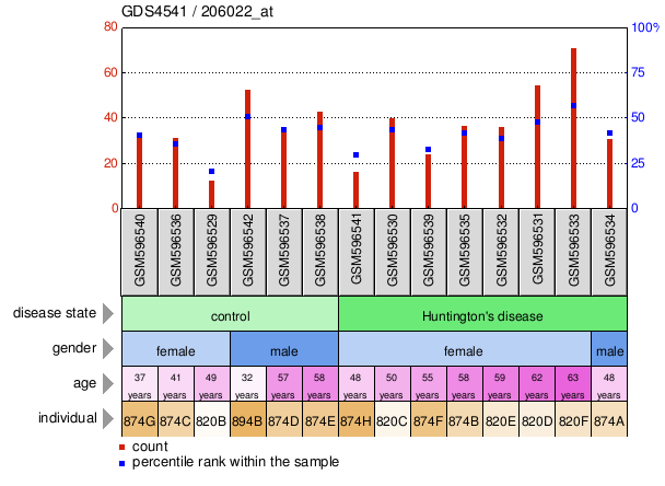 Gene Expression Profile