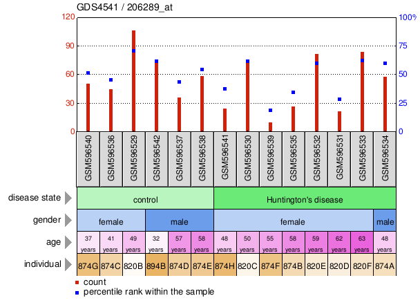 Gene Expression Profile