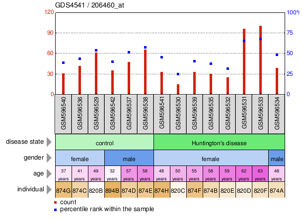 Gene Expression Profile