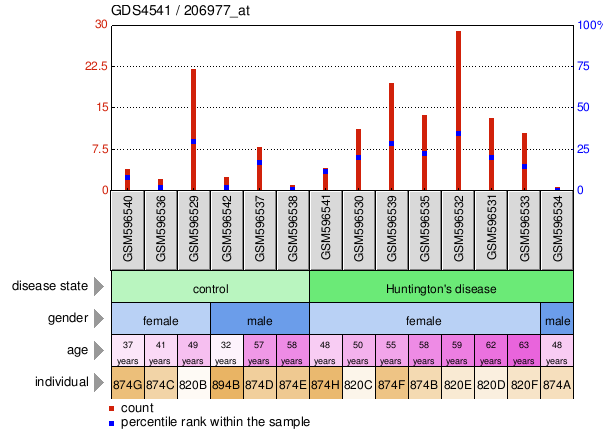 Gene Expression Profile