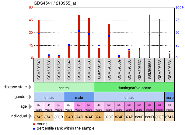 Gene Expression Profile