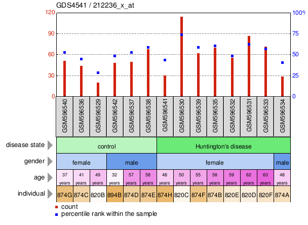 Gene Expression Profile