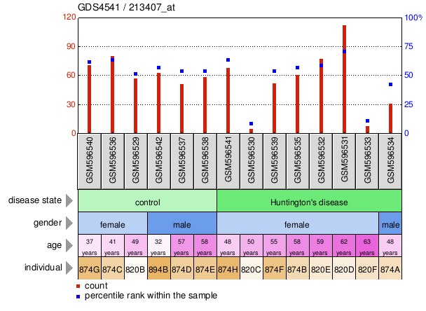 Gene Expression Profile