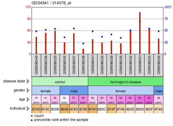 Gene Expression Profile