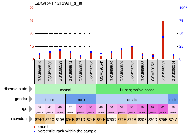 Gene Expression Profile