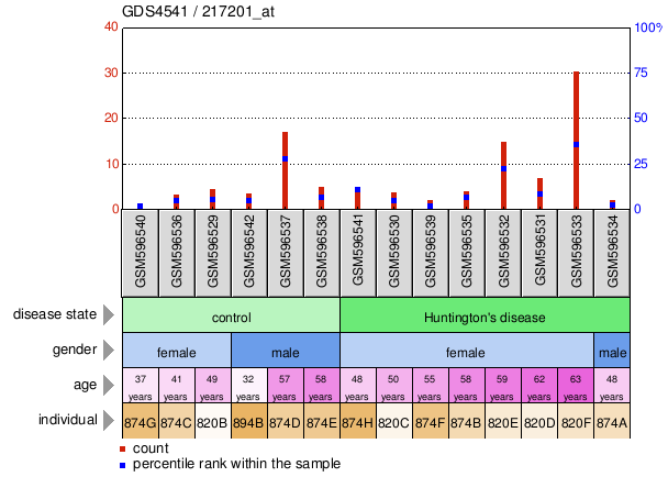 Gene Expression Profile