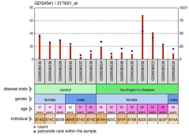 Gene Expression Profile