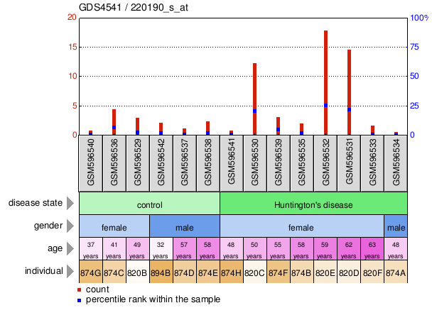 Gene Expression Profile