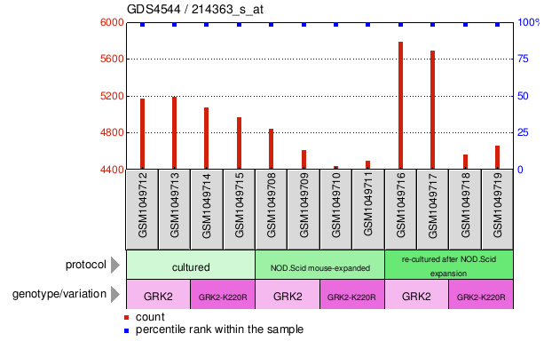 Gene Expression Profile