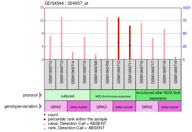 Gene Expression Profile