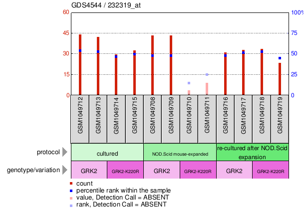 Gene Expression Profile