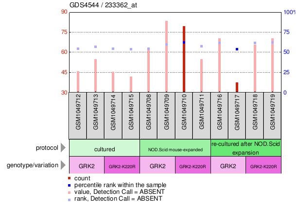 Gene Expression Profile