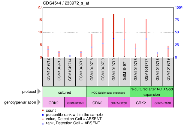 Gene Expression Profile