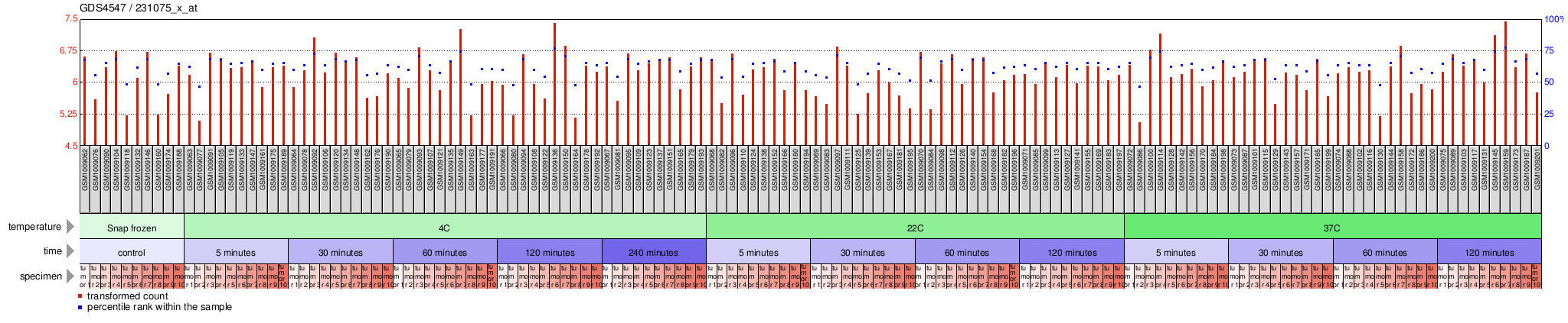 Gene Expression Profile