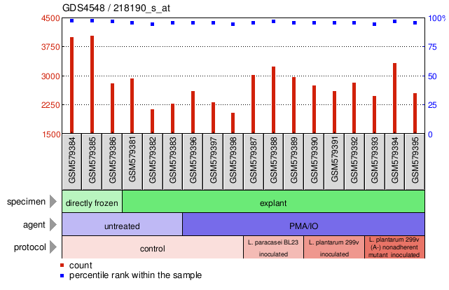 Gene Expression Profile