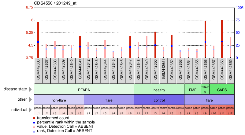 Gene Expression Profile