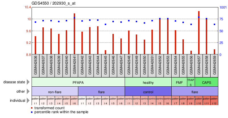 Gene Expression Profile