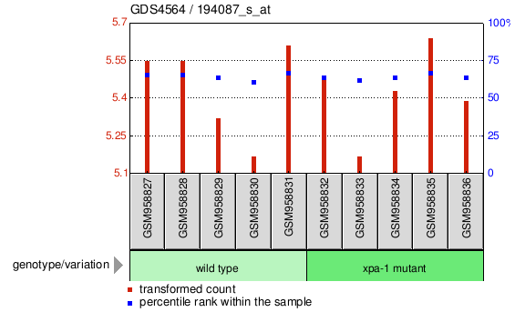 Gene Expression Profile