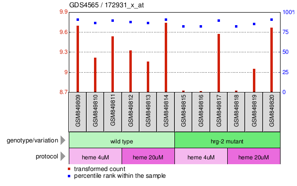 Gene Expression Profile