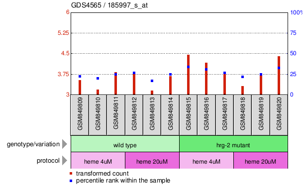 Gene Expression Profile