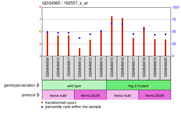 Gene Expression Profile