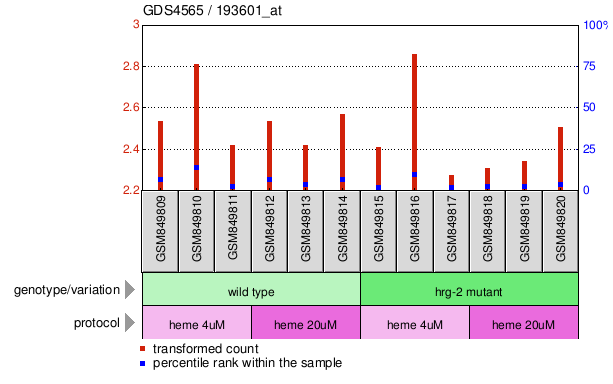 Gene Expression Profile