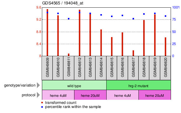 Gene Expression Profile